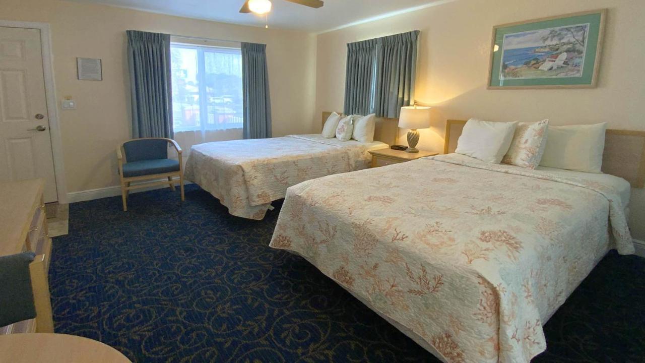 סיינט פיט ביץ' Carlton House Motel And Suites מראה חיצוני תמונה